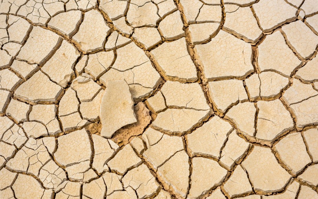 Climat de travail qui se dégrade : comment repérer les signes avant la crise ?